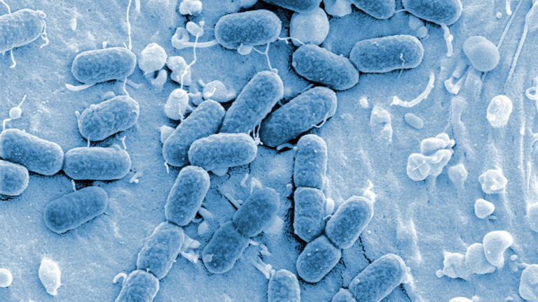 Grotamar® 82 : biocide professionnel pour le traitement du gazole